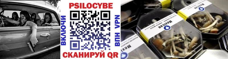 Купить  Западная Двина  Псилоцибиновые грибы ЛСД 